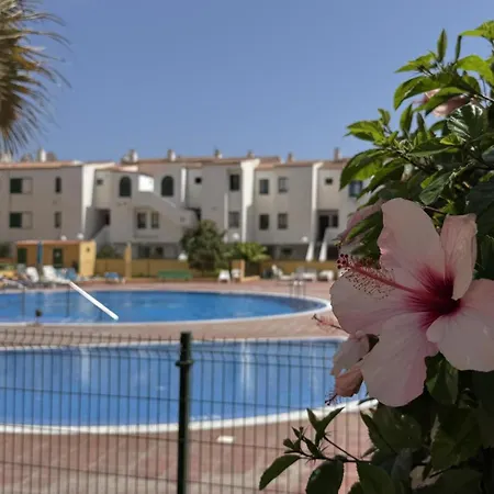 Oasis En Costa Del Silencio By Deihu Experiences * 아로나